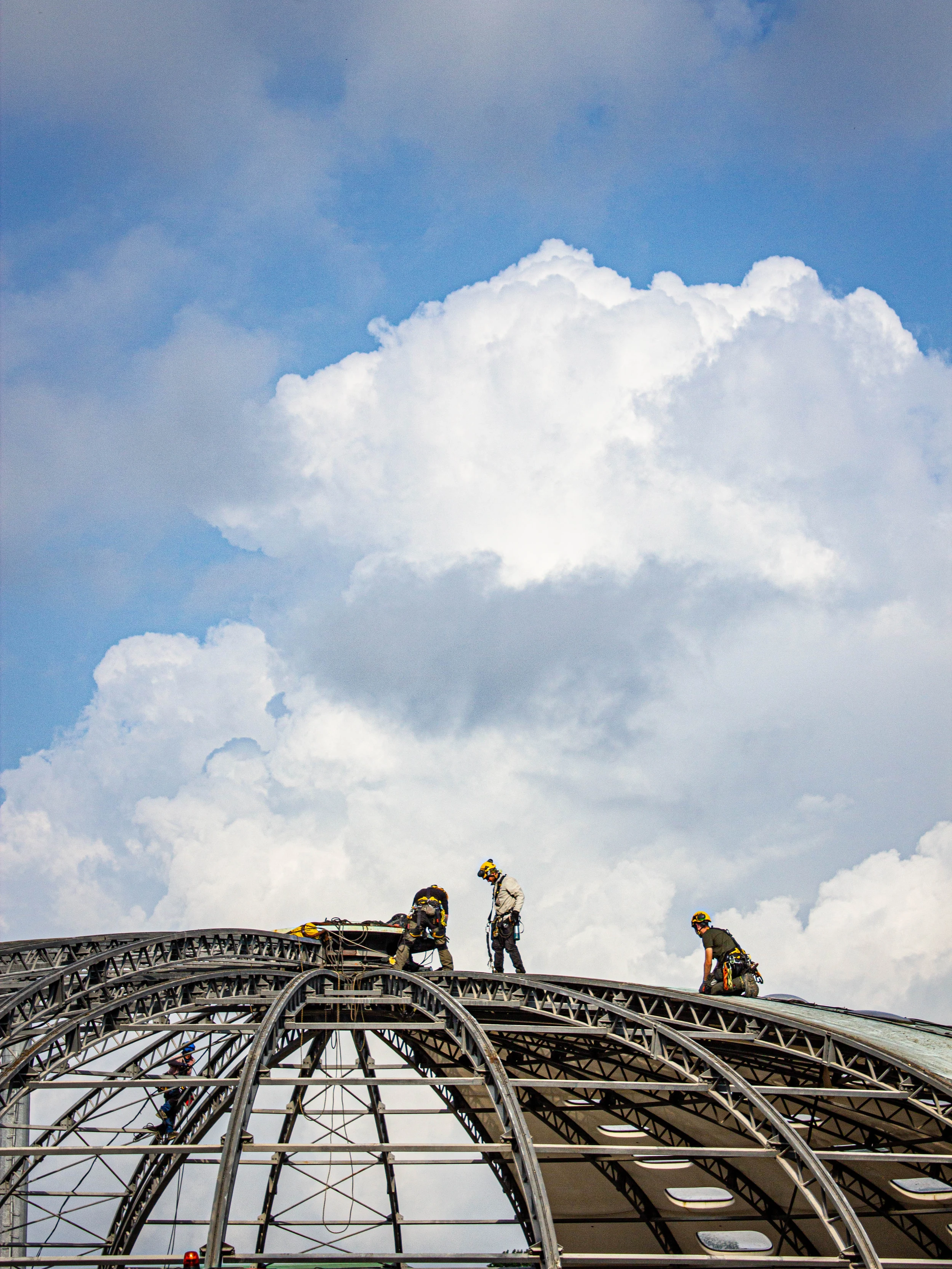 Intervention de cordistes MS Access pour le tournesol perd ses pétales chez AVENIR DECONSTRUCTION à Braud-Saint-Louis (bâtiment) – 4